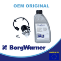 0AV598549A pump and oil 2nd generation kit for Haldex BorgWarner pump filter and oil set 0AV598549A Haldex pump and high perfomance oil 2nd generation kit for Audi VW Golf Seat Skoda Haldex