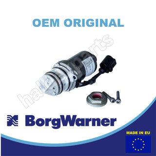 BorgWarner pump filter and oil set VOLVO awd oil 31256757 Pump + 31325173 Filter + 2000884 oil set  - 4th generation